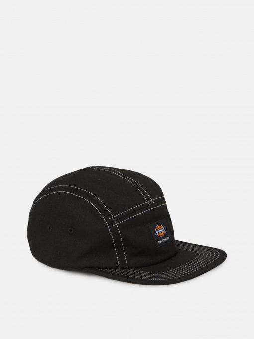 Шапки и кепки Dickies Life Mount Vista Cap модель DK0A4XYJBLK1 Фото