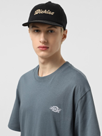 Шапки та кепки Dickies Riverbend модель DK0A4Z6IBLK1 Фото