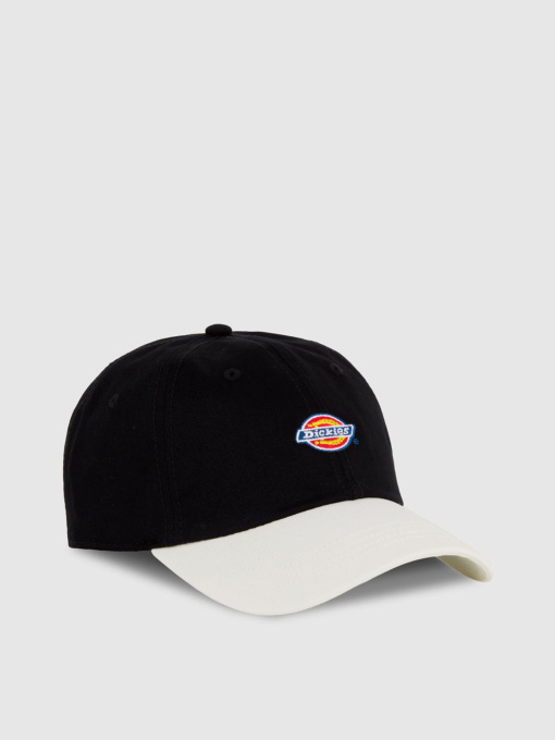 Шапки и кепки Dickies Hardwick 2 Tone модель DK0A4Z6LBLK1 Фото