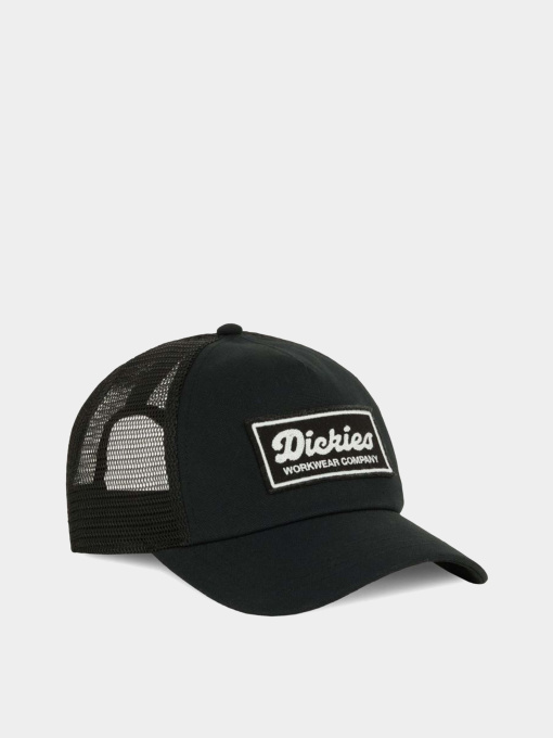 Шапки и кепки Dickies Lewistown Trucker модель DK0A4Z6MBLK1 Фото
