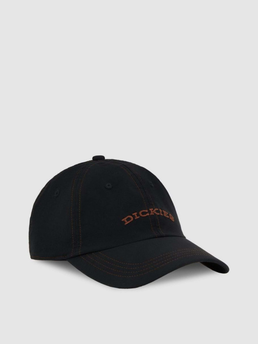Шапки та кепки Dickies Wilsall модель DK0A4Z6PBLK1 Фото