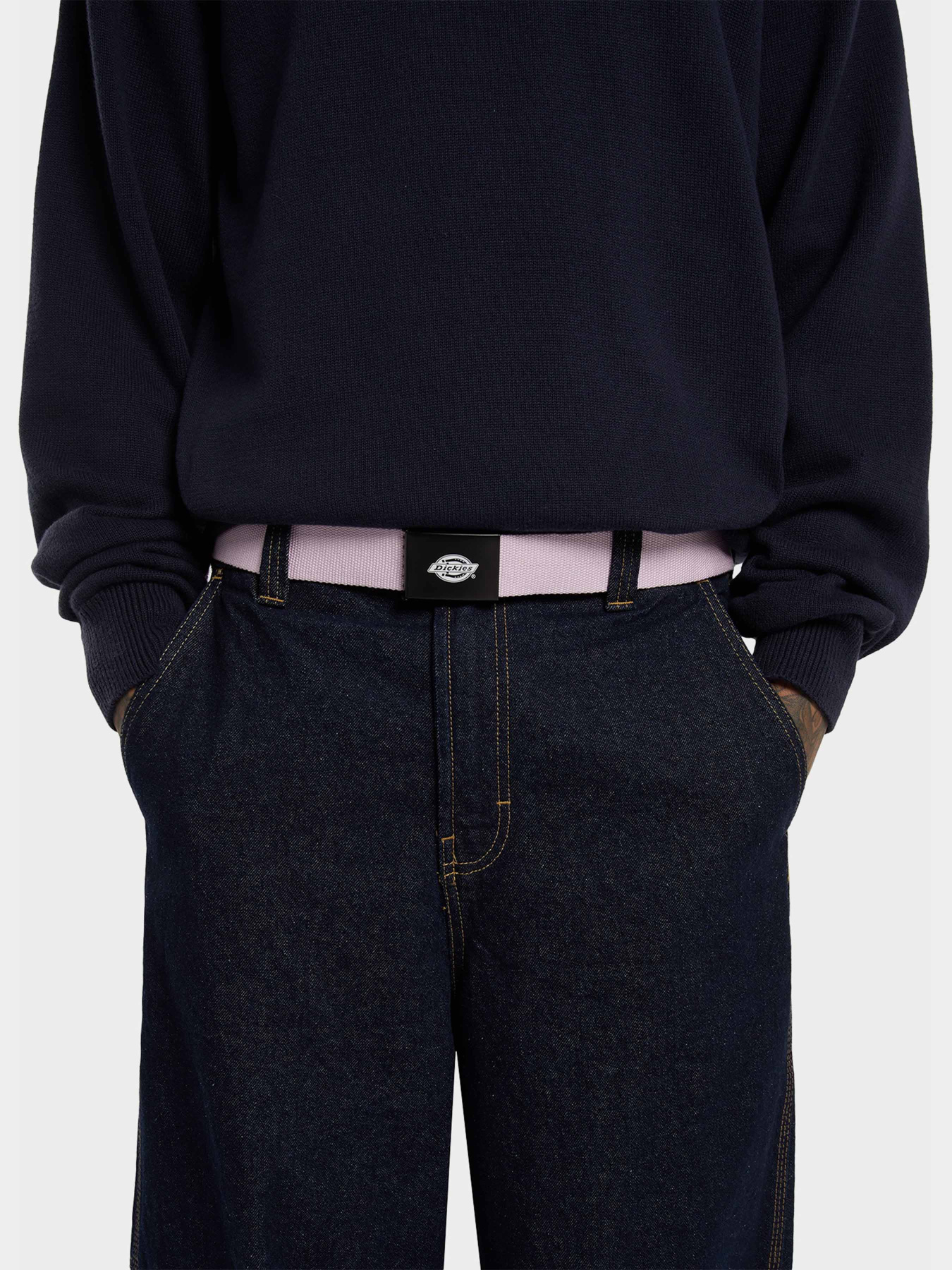 Ремни Dickies Orcutt Winsome Orchid модель DK0A4X7EK731 Фото