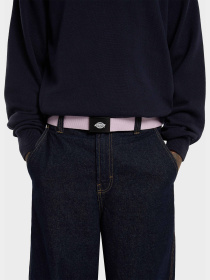 Ремни Dickies Orcutt Winsome Orchid модель DK0A4X7EK731 Фото