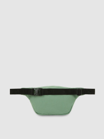 Сумки Dickies Duck 3.5 L модель DK0A4XOYL191 Фото