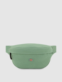Сумки Dickies Duck 3.5 L модель DK0A4XOYL191 Фото