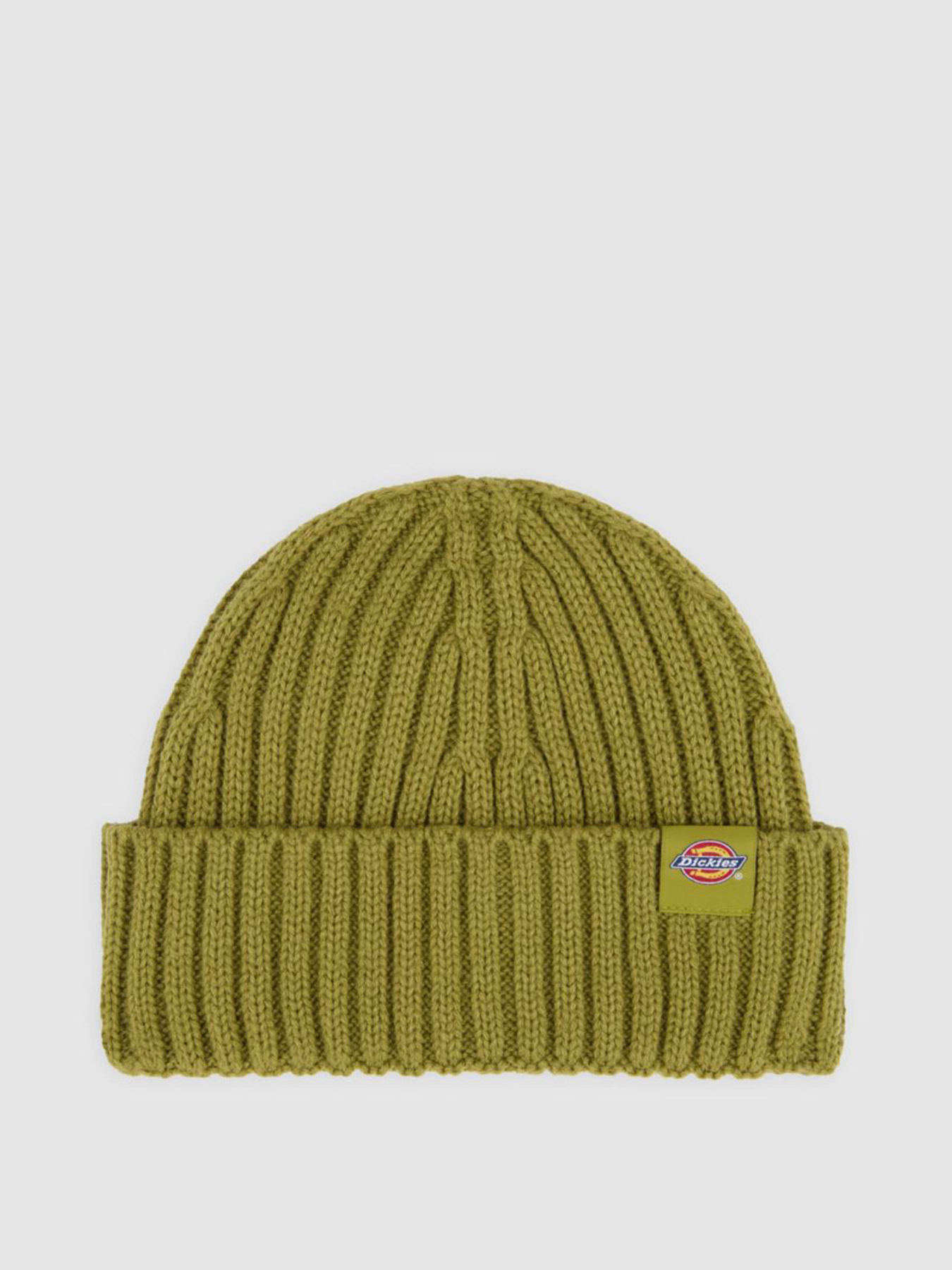 Шапки и кепки Dickies модель DK0A4Z2OL201 Шапки и кепки Dickies модель DK0A4Z2OL201 Фото