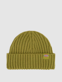 Шапки и кепки Dickies модель DK0A4Z2OL201 Фото