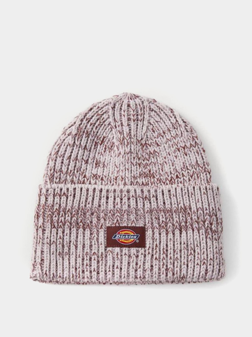 Шапки и кепки Dickies LEWISTOWN BEANIE модель DK0A4Z3JK731 Фото