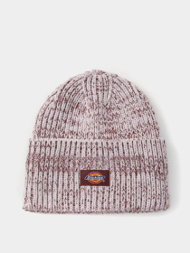 Шапки и кепки Dickies LEWISTOWN BEANIE модель DK0A4Z3JK731 Фото