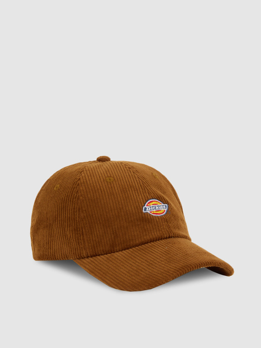 Шапки и кепки Dickies Hardwick Corduroy модель DK0A4ZAY0BD1 Фото