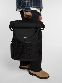 Рюкзаки Dickies Ashville Utility Roll Top модель DK0A87MXBLK1 Фото