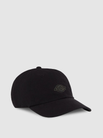 Шапки та кепки Dickies DUCK CANVAS DAD модель DK0A87NFBLK1 Фото