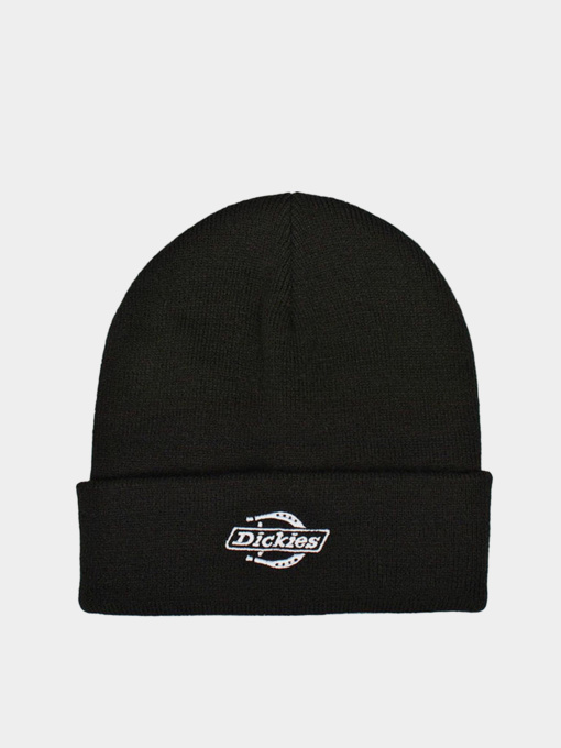 Шапки и кепки Dickies SUMMERDALE BEANIE модель DK0A87NGBLK1 Фото