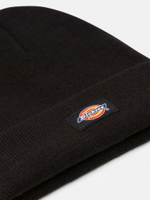 Шапки та кепки Dickies Gibsland модель DK0A4X7KBLK1 Фото