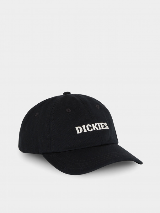 Шапки и кепки Dickies Hays модель DK0A4YHQBLK1 Фото