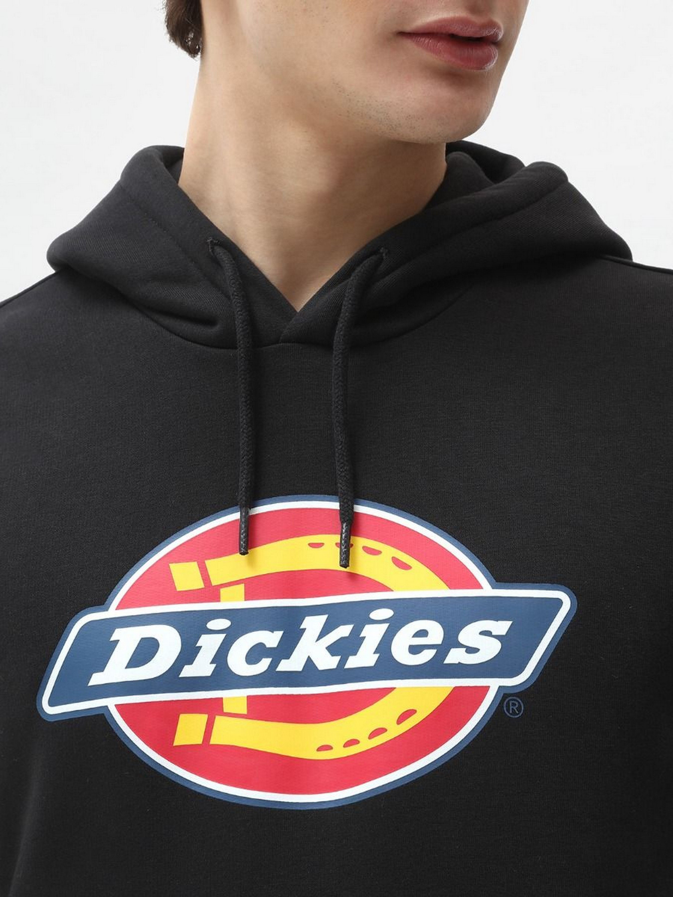 Худі та світшоти Dickies Icon Logo модель DK0A4XCBBLK1 Фото