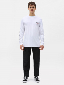 Штани Dickies Millerville модель DK0A4XDUBLK1 Фото