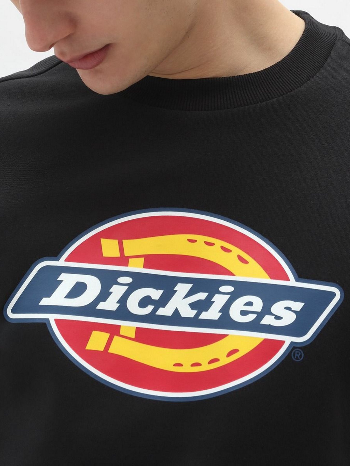 Худи и свитшоты Dickies  Icon Logo модель DK0A4XCIBLK1 Фото
