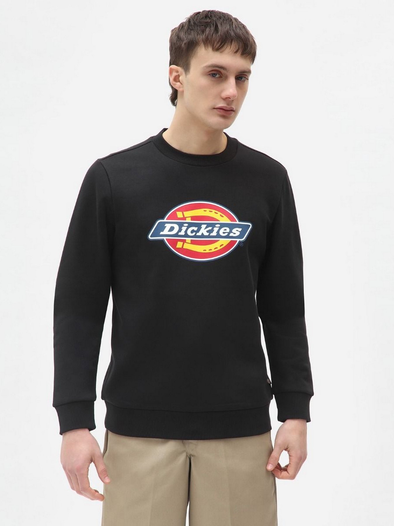 Худи и свитшоты Dickies  Icon Logo модель DK0A4XCIBLK1 Фото