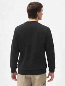 Худи и свитшоты Dickies  Icon Logo модель DK0A4XCIBLK1 Фото