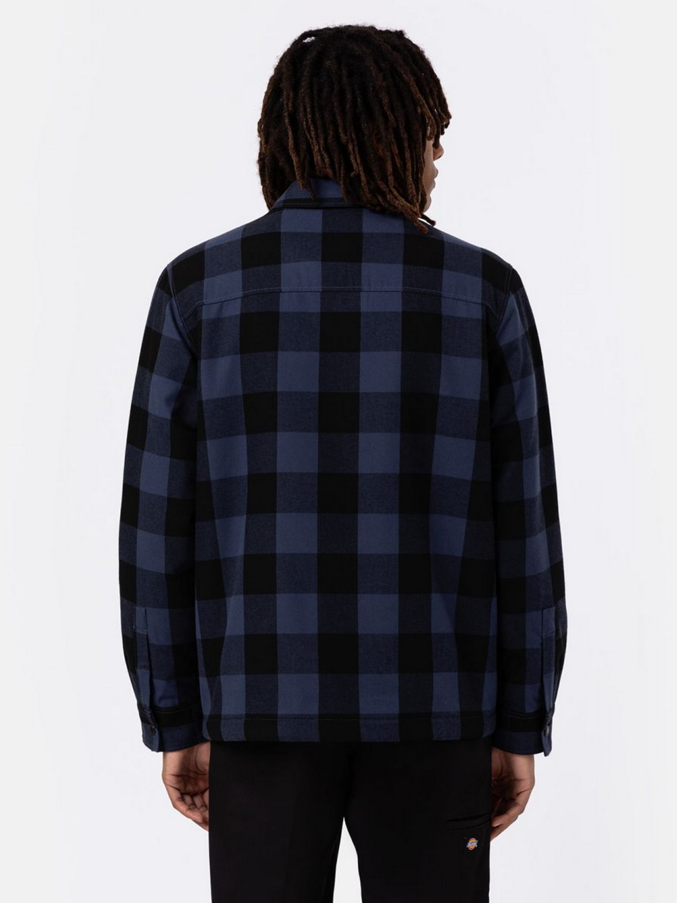 Куртки та дублянки Dickies SHERPA LINED SACRAMENTO модель DK0A4XGRNV01 Фото