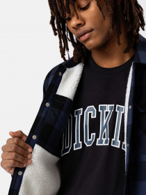 Куртки та дублянки Dickies SHERPA LINED SACRAMENTO модель DK0A4XGRNV01 Фото