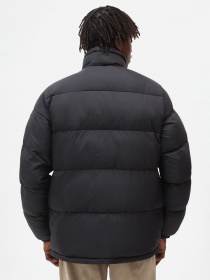 Куртки та дублянки Dickies Waldenburg модель DK0A4XP2BLK1 Фото