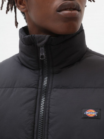 Куртки та дублянки Dickies Waldenburg модель DK0A4XP2BLK1 Фото