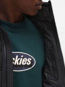 Куртки та дублянки Dickies Waldenburg модель DK0A4XP2BLK1 Фото