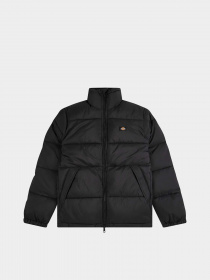Куртки та дублянки Dickies Waldenburg модель DK0A4XP2BLK1 Фото