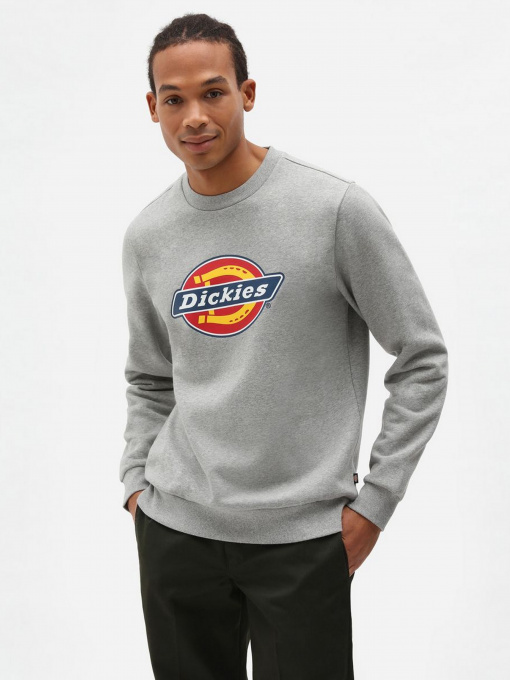 Худі та світшоти Dickies  Icon Logo модель DK0A4XCIGYM1 Фото