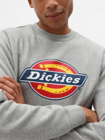 Худі та світшоти Dickies Icon Logo модель DK0A4XCIGYM1 Фото
