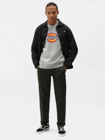 Худі та світшоти Dickies Icon Logo модель DK0A4XCIGYM1 Фото