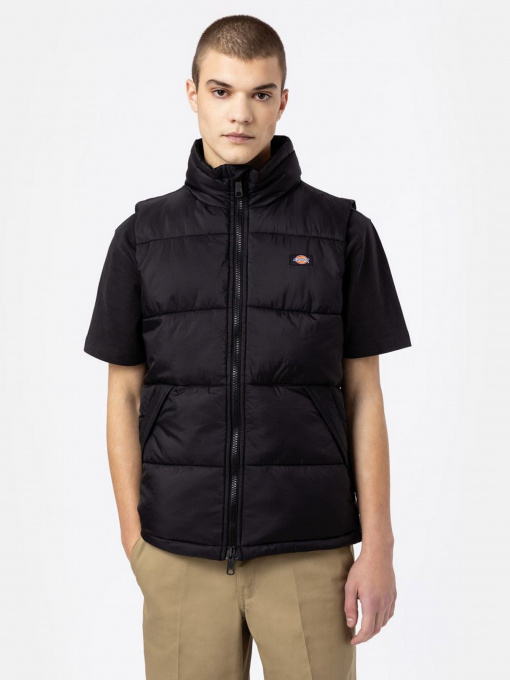 Куртки и дубленки Dickies Waldenburg модель DK0A4Y2KBLK1 Фото