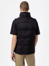 Куртки и дубленки Dickies Waldenburg модель DK0A4Y2KBLK1 Фото
