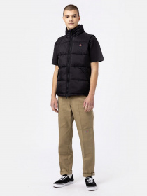 Куртки и дубленки Dickies Waldenburg модель DK0A4Y2KBLK1 Фото