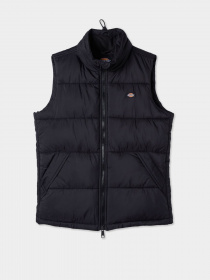 Куртки и дубленки Dickies Waldenburg модель DK0A4Y2KBLK1 Фото