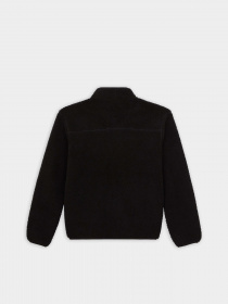 Худі та світшоти Dickies Mount Hope модель DK0A4YEEBLK1 Фото