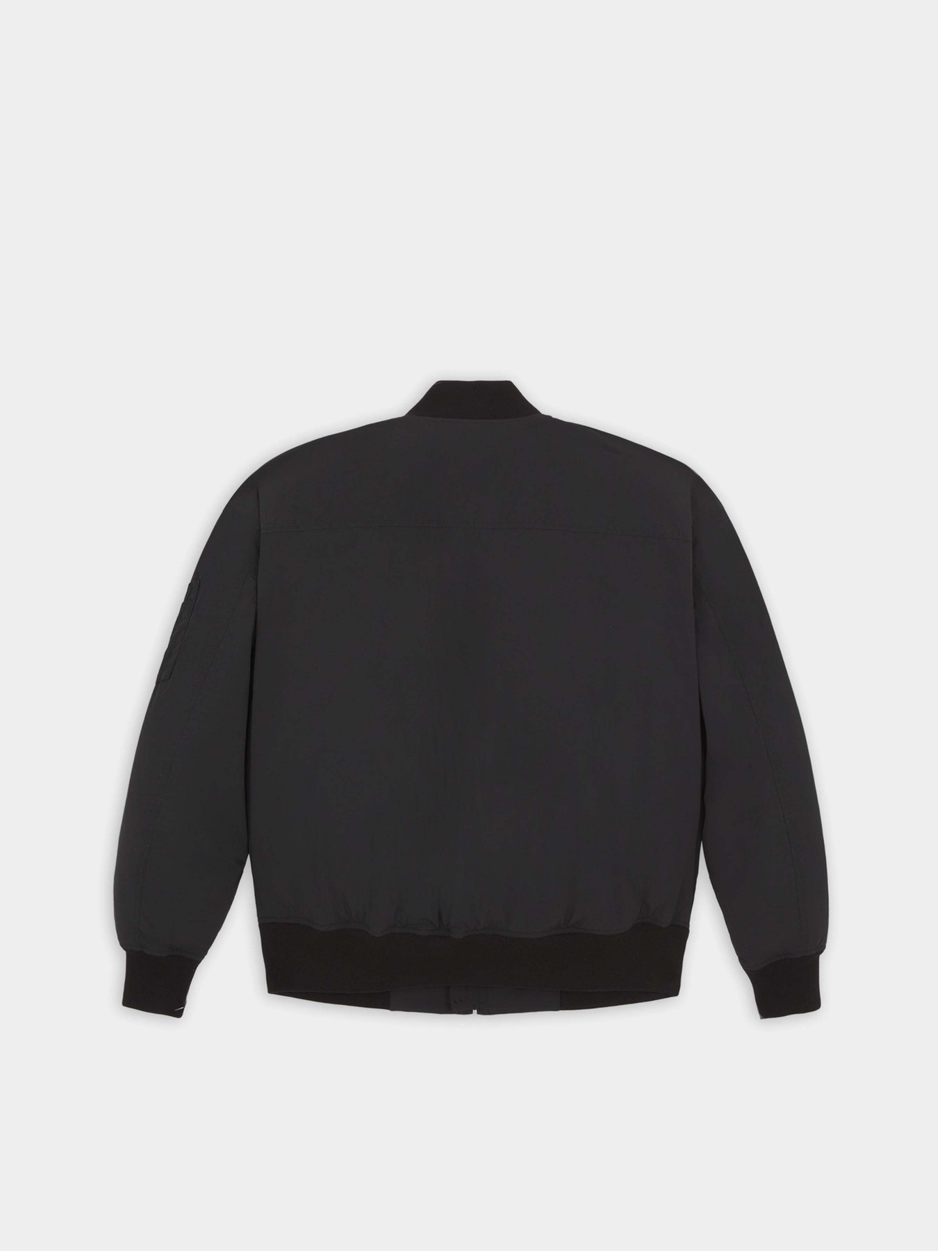 Куртки и дубленки Dickies Overbrook модель DK0A4YEQBLK1 Фото