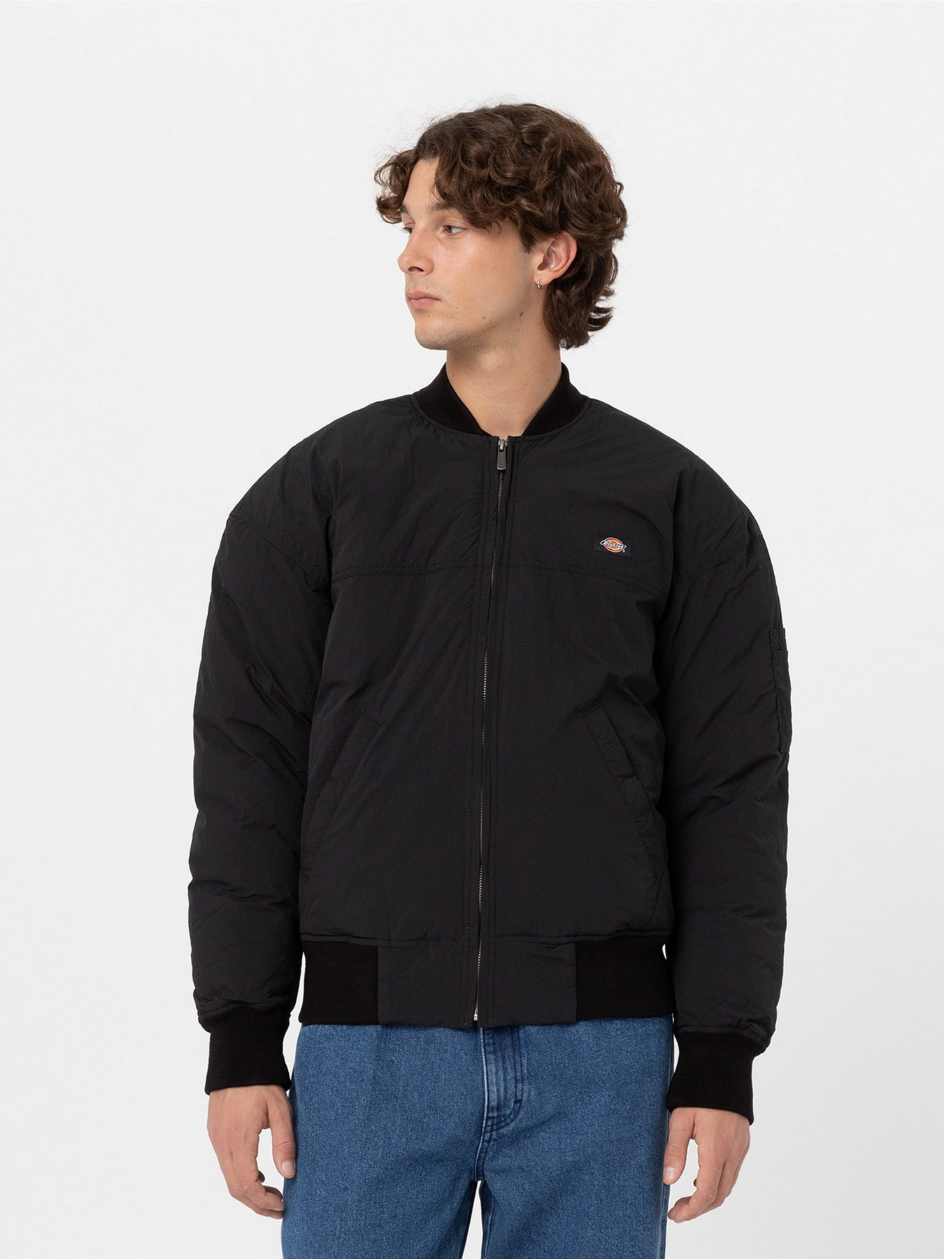 Куртки и дубленки Dickies Overbrook модель DK0A4YEQBLK1 Фото