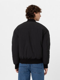 Куртки и дубленки Dickies Overbrook модель DK0A4YEQBLK1 Фото