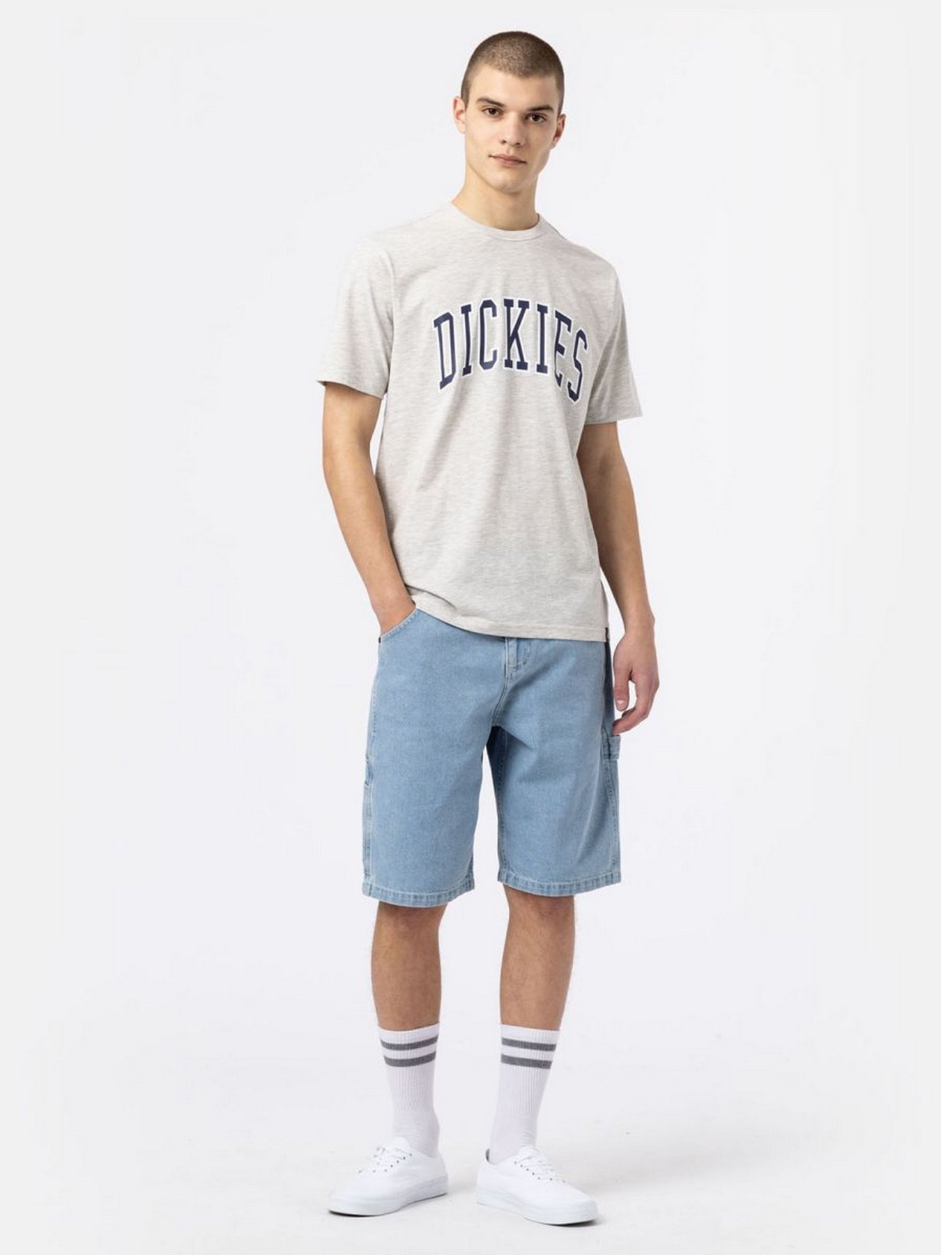 Шорты Dickies Garyville модель DK0A4XCKC151 Шорты Dickies Garyville модель DK0A4XCKC151 Фото
