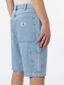 Шорты Dickies Garyville модель DK0A4XCKC151 Фото