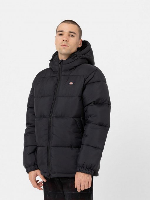Куртки и дубленки Dickies Glacier модель DK0A4YEYBLK1 Фото