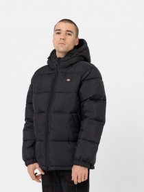 Куртки и дубленки Dickies Glacier модель DK0A4YEYBLK1 Фото