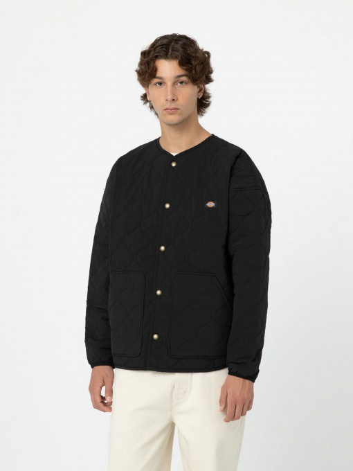 Куртки та дублянки Dickies Thorsby Liner модель DK0A4YG6BLK1 Фото