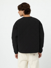 Куртки и дубленки Dickies Thorsby Liner модель DK0A4YG6BLK1 Фото