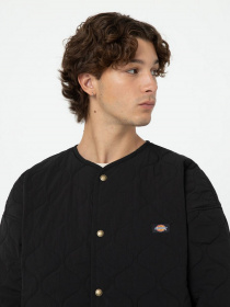 Куртки и дубленки Dickies Thorsby Liner модель DK0A4YG6BLK1 Фото