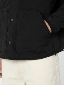 Куртки и дубленки Dickies Thorsby Liner модель DK0A4YG6BLK1 Фото
