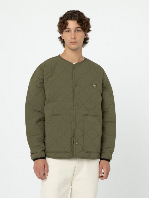 Куртки и дубленки Dickies Thorsby Liner модель DK0A4YG6MGR1 Фото